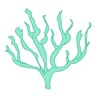 Korstmos struikvormig