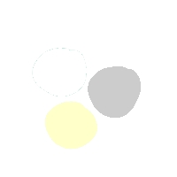 Apotheciën wit/beige/grijs